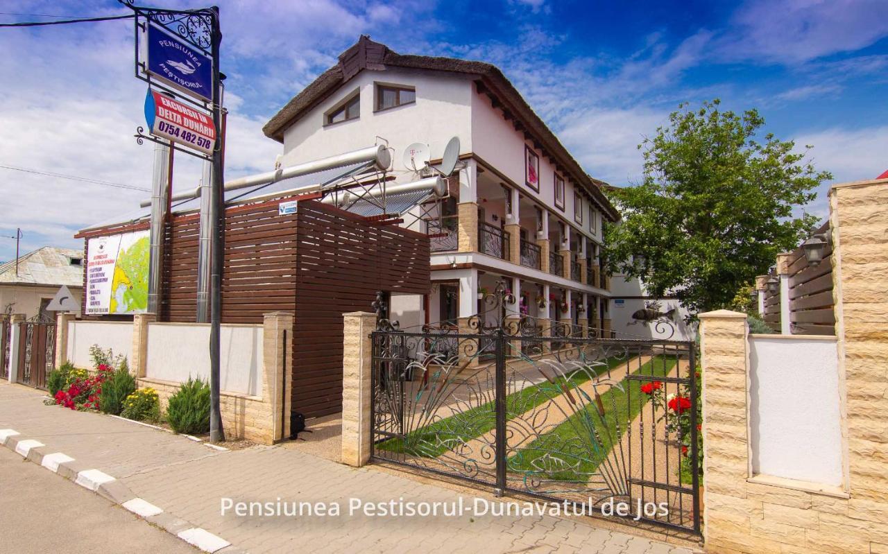 Dunavăţu de Jos Pensiunea Pestisorul מראה חיצוני תמונה