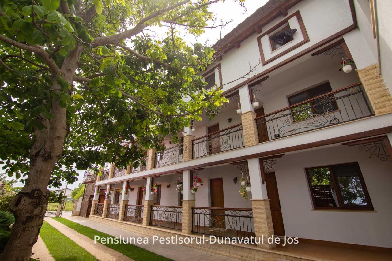 Dunavăţu de Jos Pensiunea Pestisorul מראה חיצוני תמונה