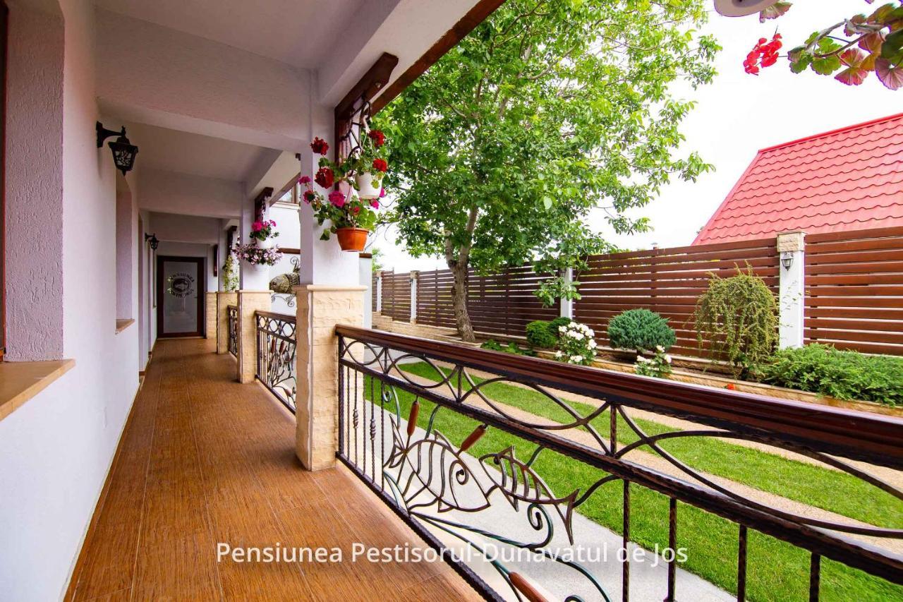 Dunavăţu de Jos Pensiunea Pestisorul מראה חיצוני תמונה