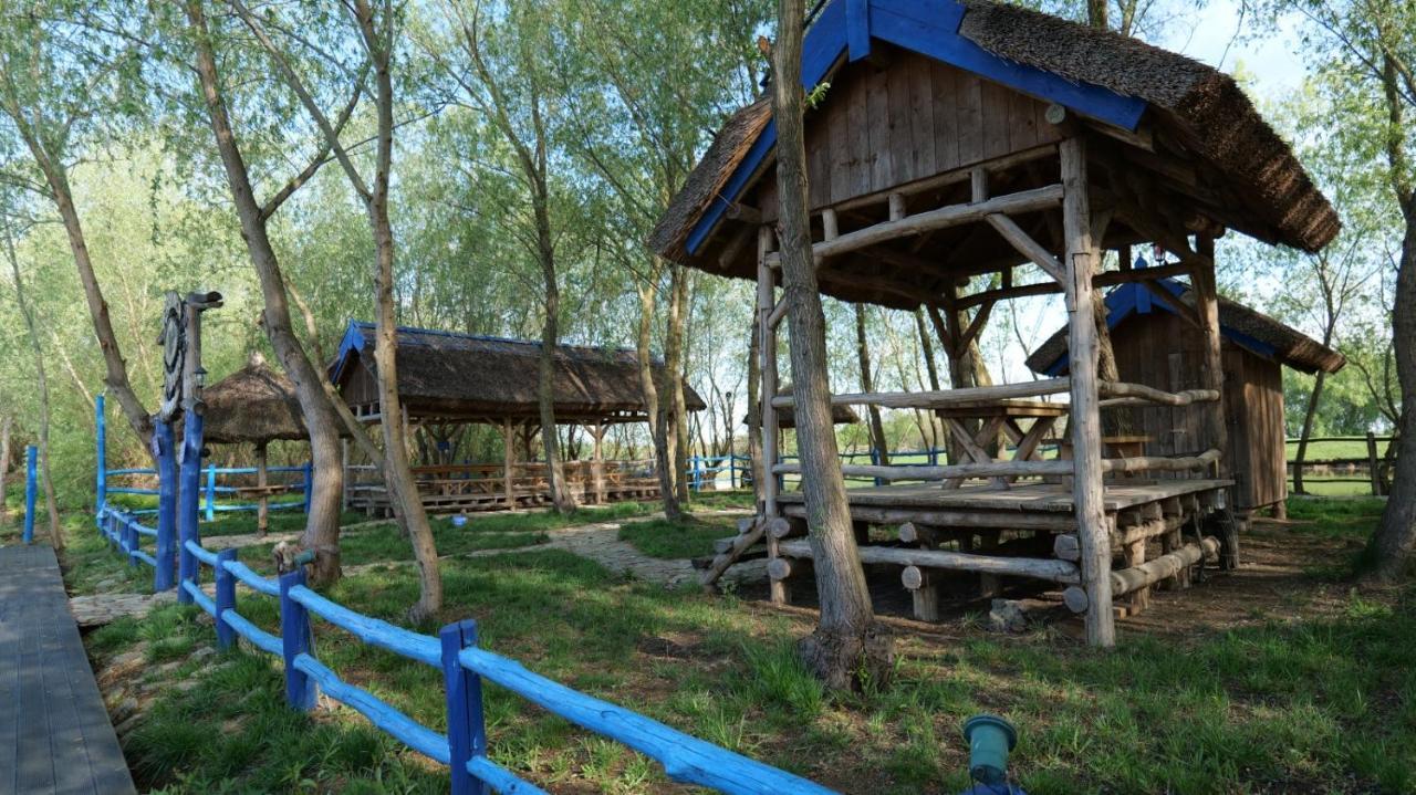 Dunavăţu de Jos Pensiunea Pestisorul מראה חיצוני תמונה